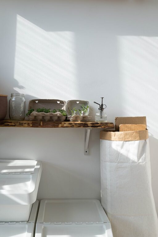 Practical Tips for Creating a Sustainable and Eco-Friendly Home